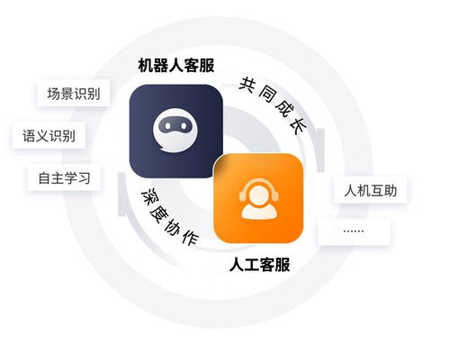 24小时客服支持系统