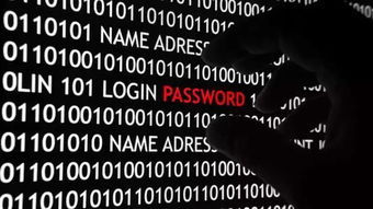 黑客团队在线工作场景