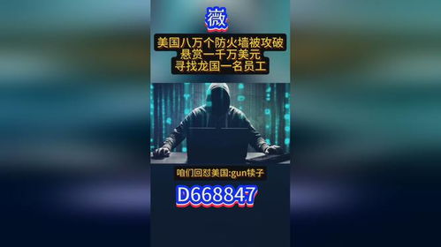 黑客在线接单网站界面